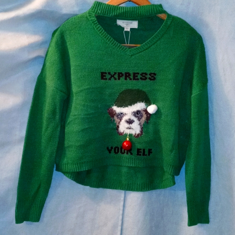 No comment express your Elf green sweater dog